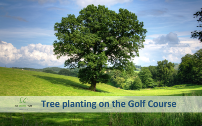 Things to consider regarding Tree Planting on the Golf Course