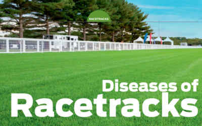 Jan 2021 | Diseases of Racetracks – What to look out for this summer!